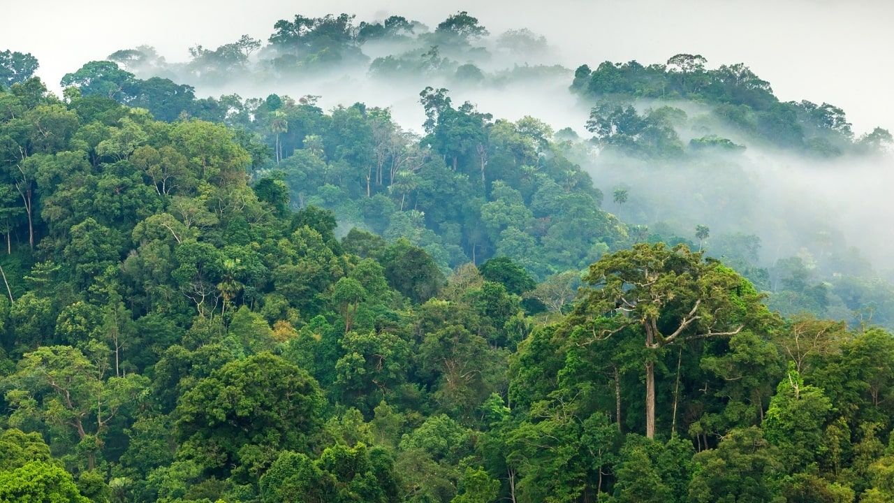 Nangaritza, el paraíso escondido entre la selva