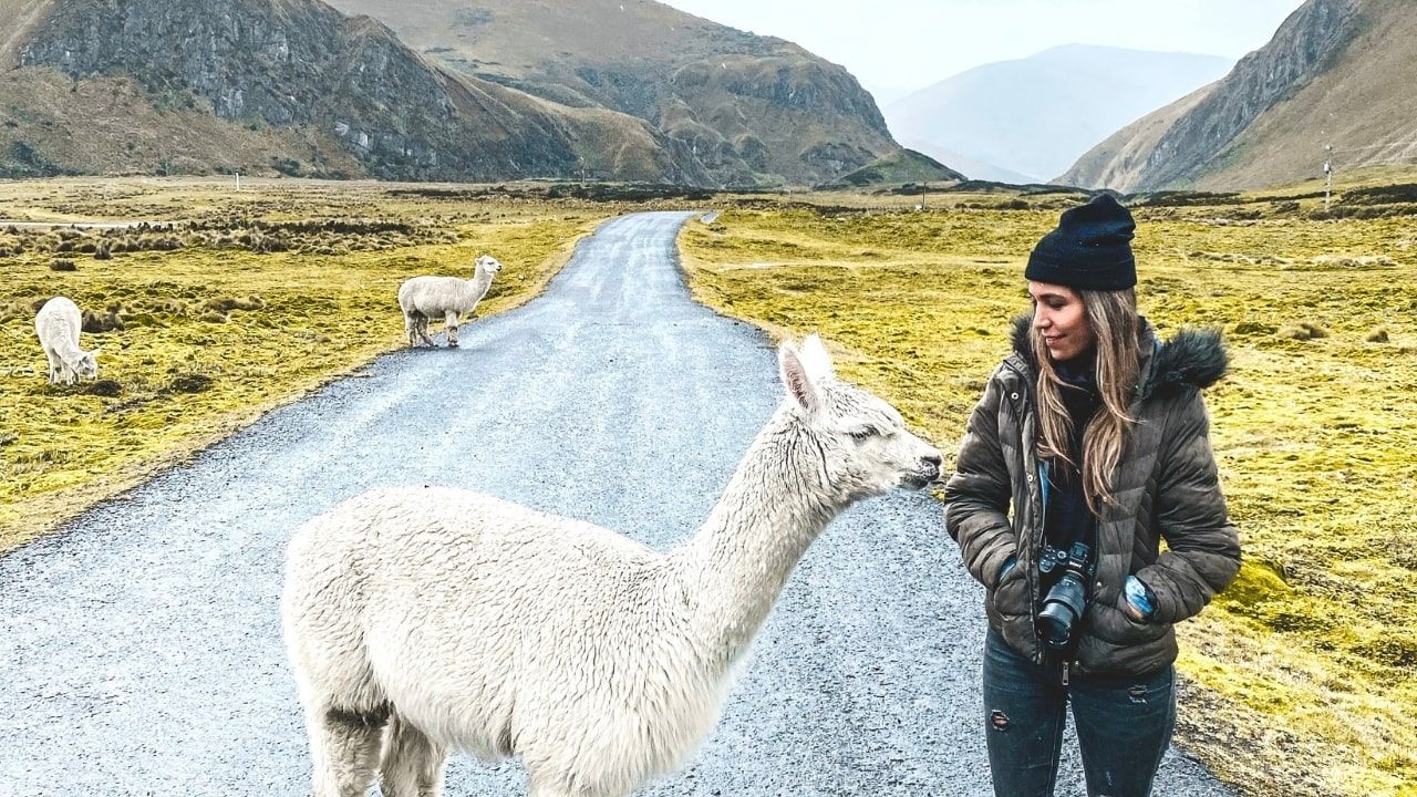 Dicen que un año de viaje equivale a siete años de vida estática